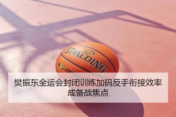 樊振东全运会封闭训练加码反手衔接效率成备战焦点
